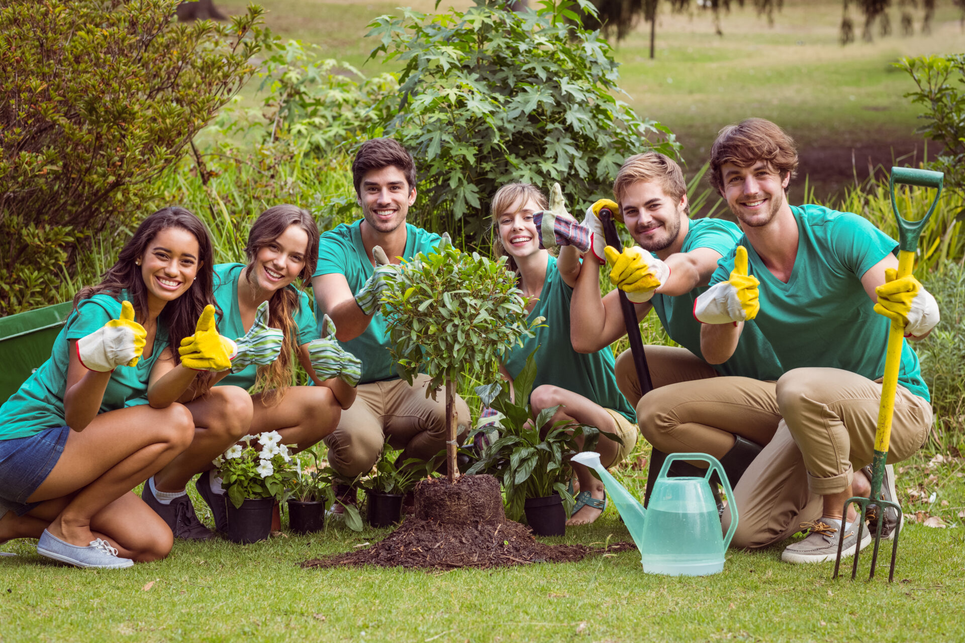 Organisations that can Support the Teaching of Climate Change (KS 3&4)